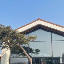 테아[THEA] | 김포 대형 카페 테아 베이커리 카페 Thea 캠핑 감성! 자두크림라떼 필수 주문!