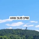 평지 이미지