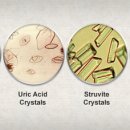 미르동물병원 이미지