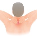 도토리한의원 이미지