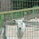 환호농장 이미지