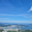 통영참복 이미지