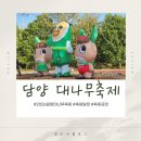 담양군청 | 2026 담양 대나무축제 위치 주차장 일정표 초청 가수 정보 개막식 다녀온 후기