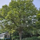 보운가든 이미지