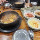 양지 티스토리