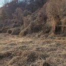 칠성면사무소 이미지