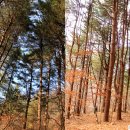 고동산 ~ 화야산 종주(20.11.27)