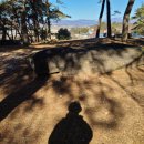 용월리지석묘군 | 전라남도 함평 기념물 제158호 #용월리 지석묘군