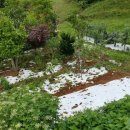 우리펜션민박 이미지