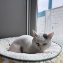 가온동물의료센터 이미지