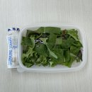 백선생생대패 | 굥 일상이야기 (+어이없는 썰 푼다)