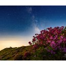 별이빛나는밤에 이미지