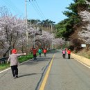 정임 - 유성구 대정로28번안길 25 | 정임