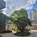 용산구 정신건강복지센터 이미지