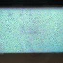 골프존 버디 스크린 이미지