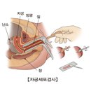 윤혜원여성의원 네이버블로그
