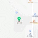 포은로 은행나무길 이미지