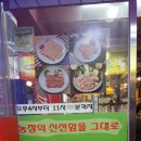 신토불이 축산물