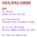 인체교정원 이미지