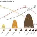 커피no.5