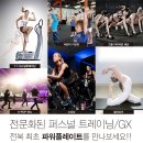 발란스핏 이미지
