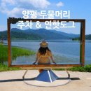 느티나무집(장릉후문) | 경기도 여행 양평 볼거리 두물머리 주차 팁! 데이트 코스 & 진짜 연핫도그