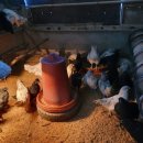 아성슈퍼 이미지