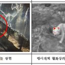 여우야