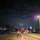 평화3(잔디광장) | 파주캠핑장 임진각 평화누리캠핑장 오토캠핑존 아이와캠핑