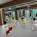 태아일체 다온태권도장 이미지