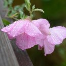 지에스농장 이미지