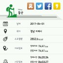 개굴개굴 이미지