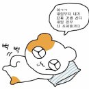 꼬까신 이미지