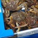 정희수산 이미지