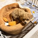 솔숲공원 화장실 | [구름품은캠핑장]강원도 영월 높은 산 속 한적하고 조용한 구름품은 캠핑장 방문 후기!