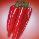 농민농약종묘 이미지