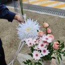 나리화원.꽃 | 양재꽃시장ㅣ내돈내산 웨딩촬영 생화부케 헤어변형꽃 셀프준비 꽃시장 업체추천, 위치