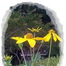 선소유적지 이미지