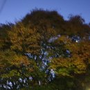 토평동 경로당 이미지