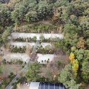 명봉산솔밭관광농원오토캠핑장 이미지