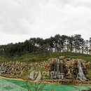 사임당로공원 이미지