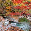 생의 함정 / 최춘자 이미지