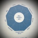 사피엔스 이미지