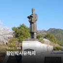 왕인박사유적지 성기동관광지 | 목포 근교 가볼만한곳 영암 왕인박사유적지 벚꽃 축제