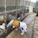 일오공삼 이미지