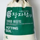 자람주머니 이미지