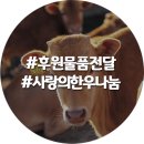 전국한우협회연천군지부 이미지