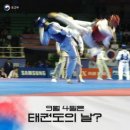 로뎀태권도 이미지