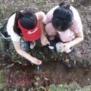 수궁동주민센터 이미지