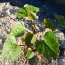 장암농장 이미지